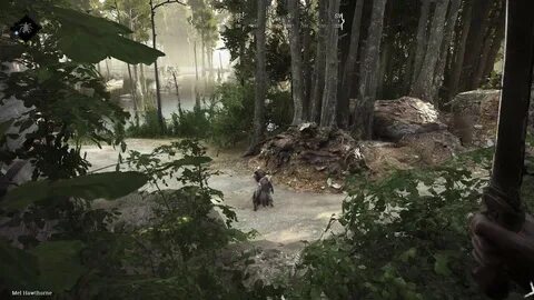 Hunt other