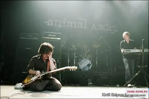 5 ноября 2006