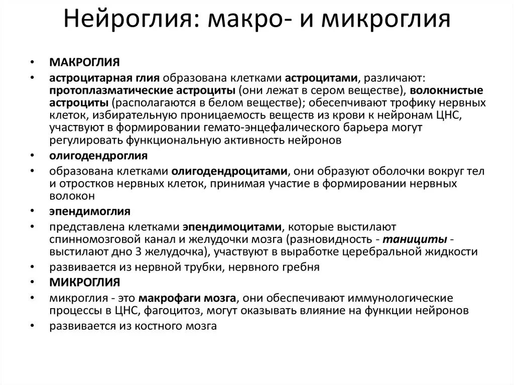 Микро особенность. Источник развития микроглии нервной ткани. Клетки микроглии функции. Макроглия и микроглия. Источник развития макроглии.