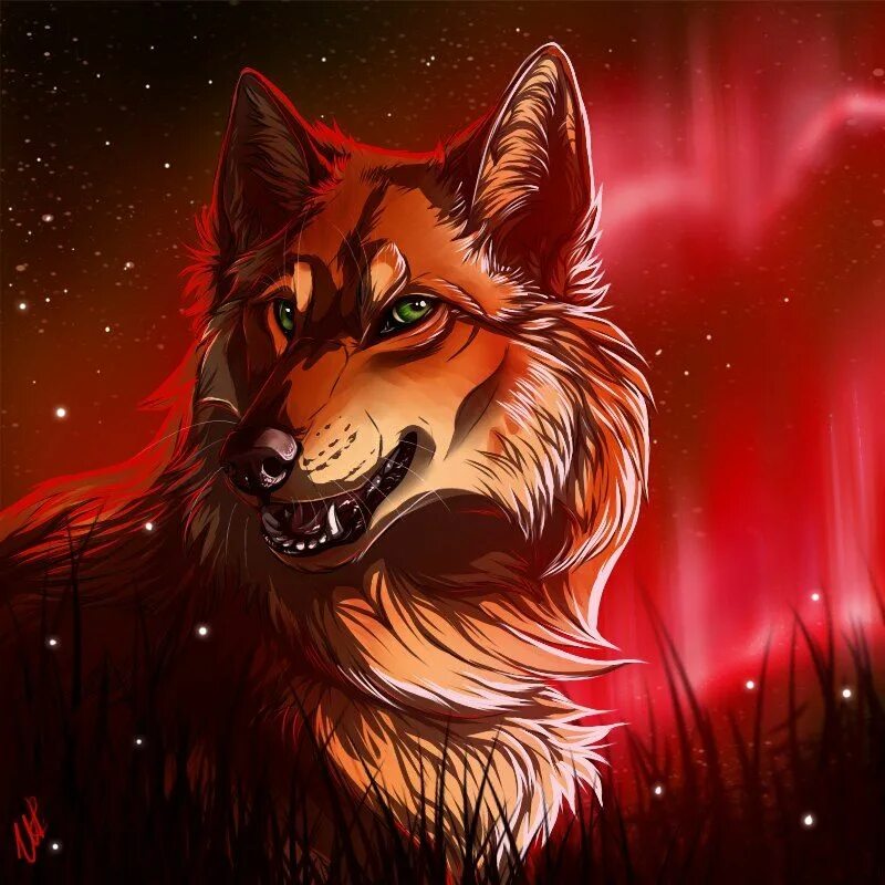 Ред вольф. Рыжий волк. Волк арт. Волки арты. Рыжий волк арт.