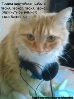 Пока немного