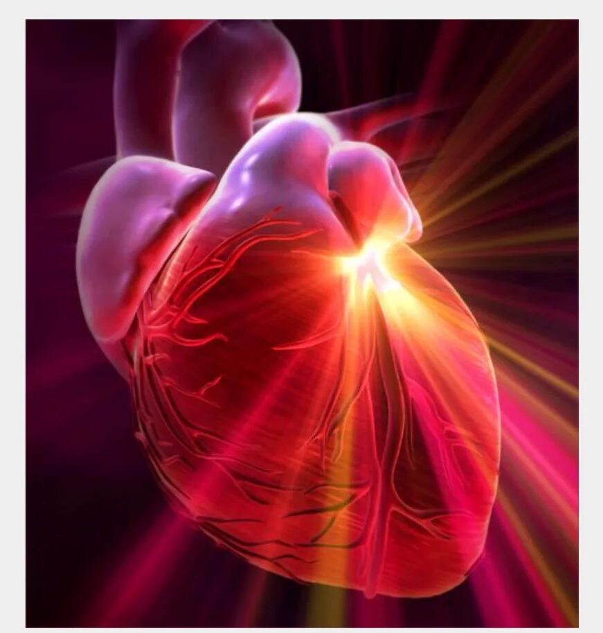 Сердце работает всю жизнь. Сердце. Энергия сердца. Светящееся сердце у человека.