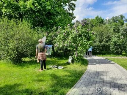 Вскоре показались не ухоженные сады городской окраины