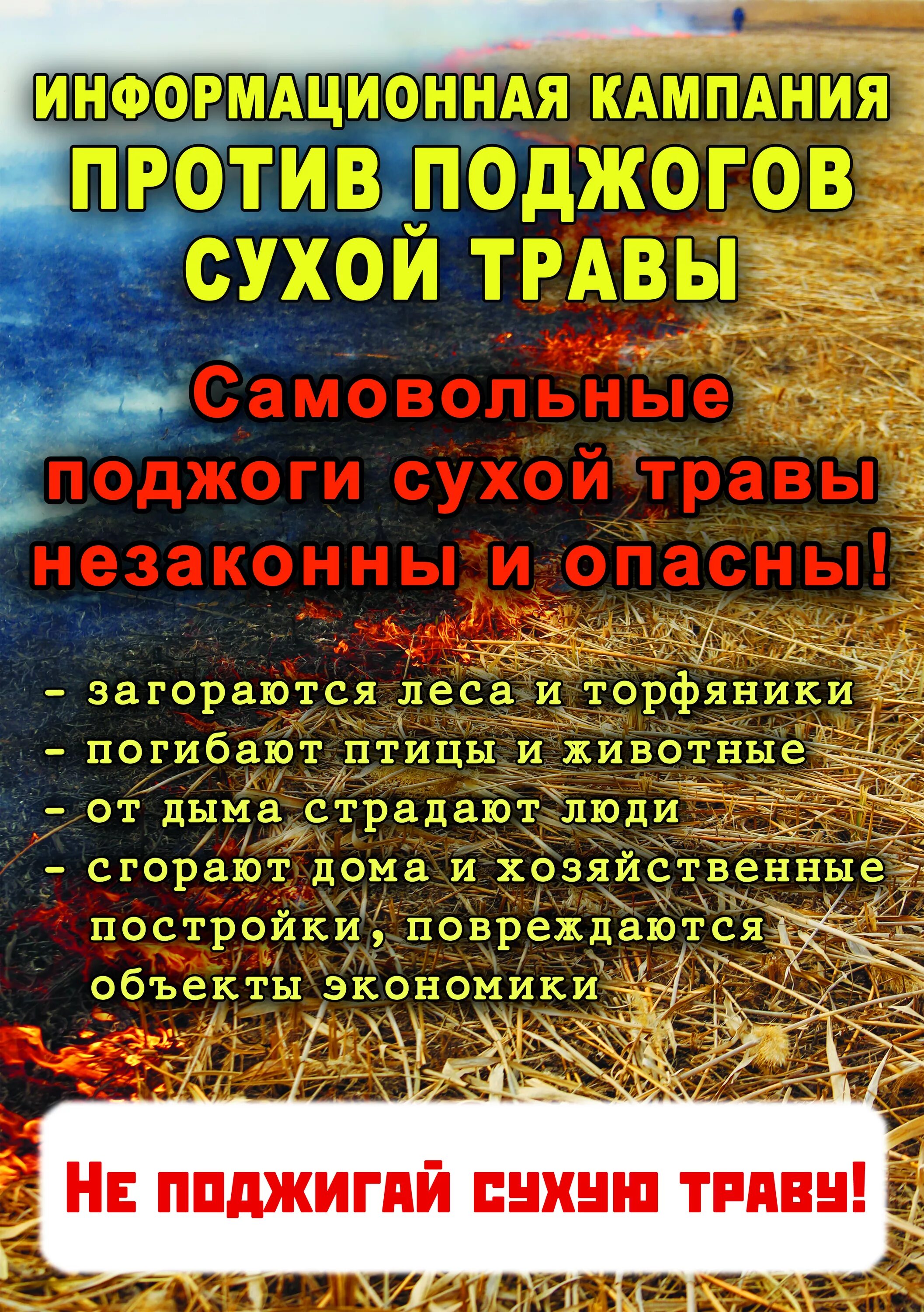 Не жгите сухую траву. Листовки против поджогов травы. Памятка по поджогу сухой травы. Памятка по палу сухой травы. Памятка не жгите сухую траву.