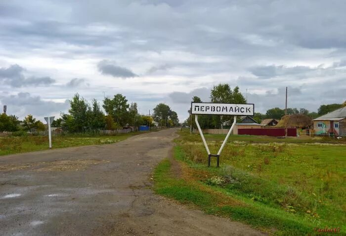 Погода в шипуново алтайский на неделю. Первомайское Алтайский край. Село Шипуново Алтайский край. Село Бобровка Алтайский край Шипуновский район. Село Бобровка Алтайский край Первомайский район.