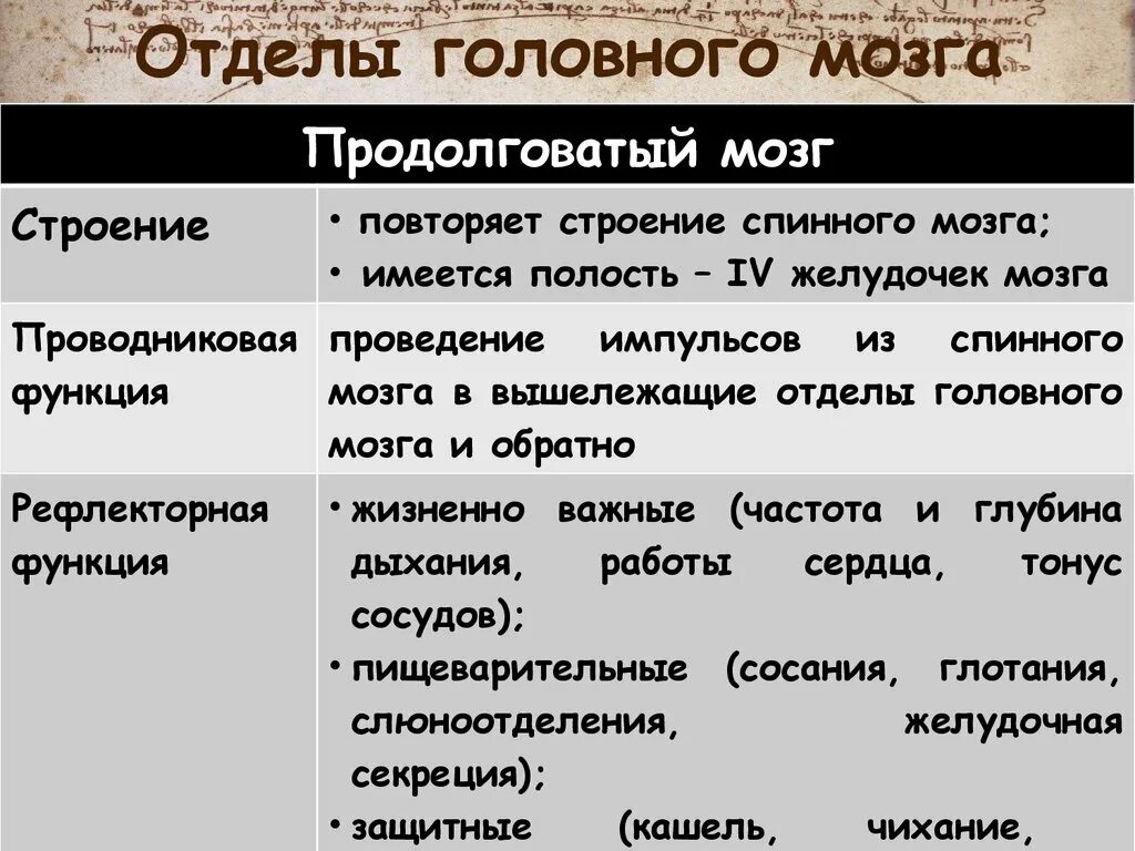 Функции отделовноловного мозга. Функции отделов головного мозга. Отделы головного мозга и их строение. Функции отделов головного мозга таблица.