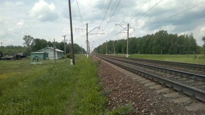 Жд мост через дон лиски. Мост через ветлугу у шарьи. Злобино путь платформа. Р через ж. Железнодорожный мост через реку большая бира.