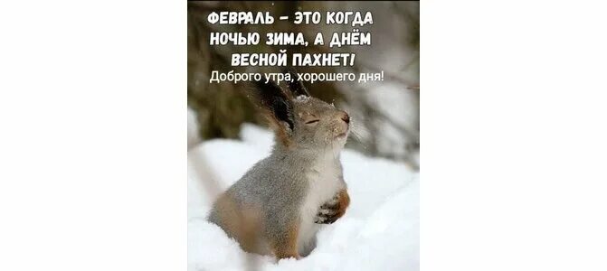 Февраль это когда ночью зима а днем