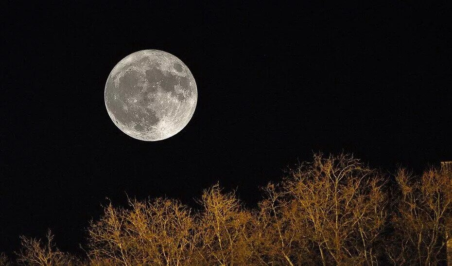 Большая Луна. Самая большая Луна. Фото большой Луны. Луна приближается к земле.