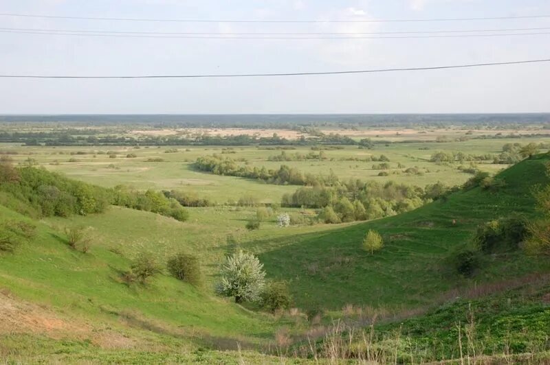 Поселок городищи владимирская. Пировы городищи вязники. Усад городищи владимирская область. Поселок городищи петушинский район владимирская область. Поселок городищи владимирская область.