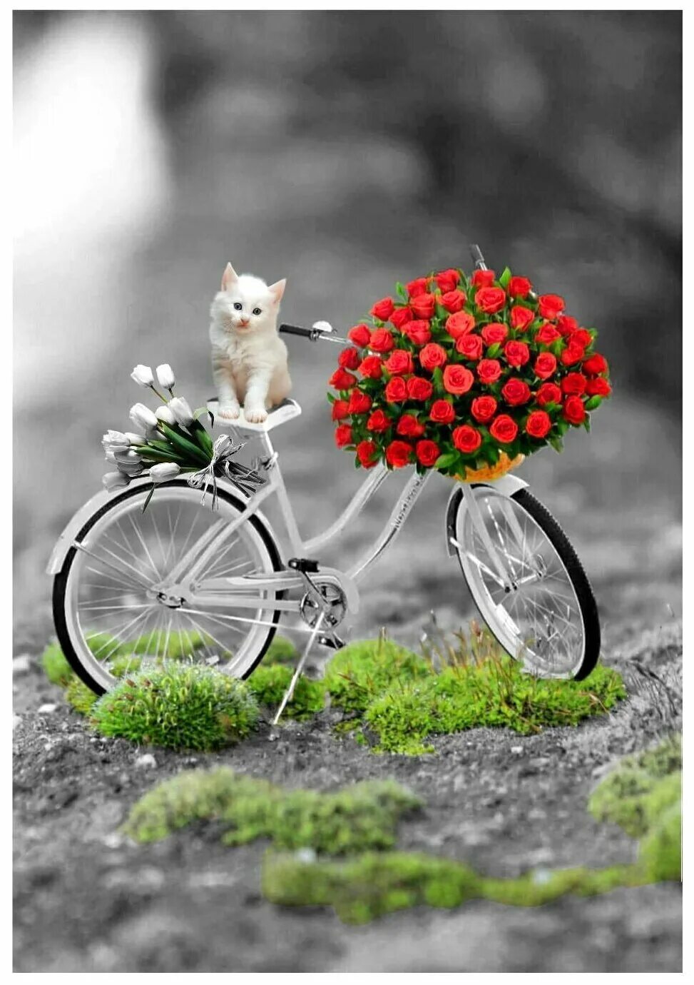 Яркого дня и хорошего настроения. Велосипед с цветами. Хорошего дня и настроения. Открытки с позитивом хорошего настроения.