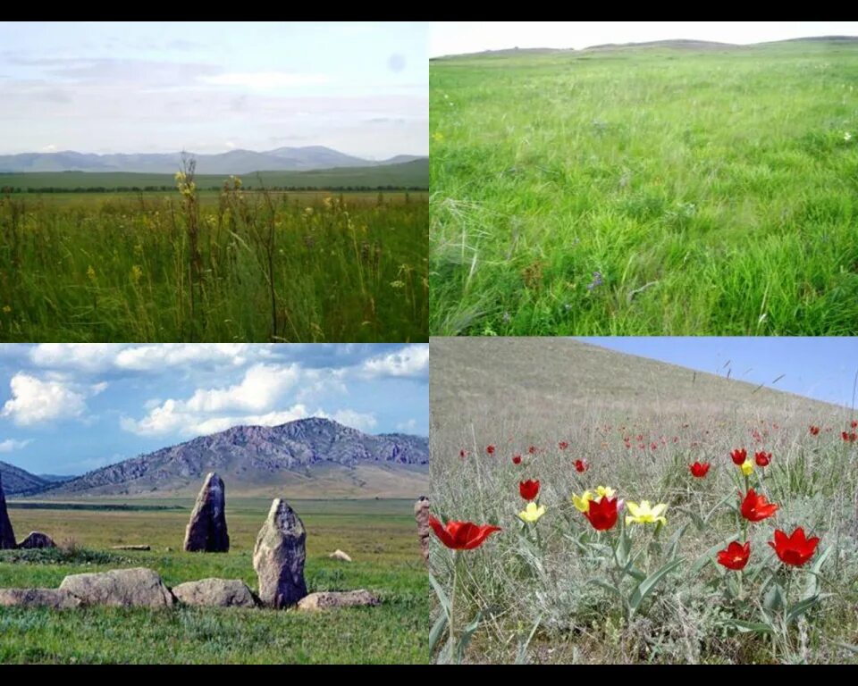 Приехать в хакасию. Природа хакасии для детей. Власти хакасии. Чатхан хакасский музыкальный инструмент. Хакасия работа сайт.