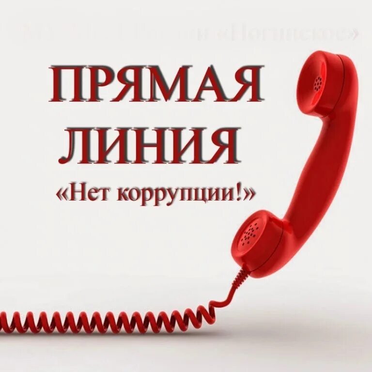 Прямая линия девушка. Телефонная линия нет коррупции. горячая линия по коррупции. администрация самары горячая линия. телефон горячей линии по противодействию коррупции.