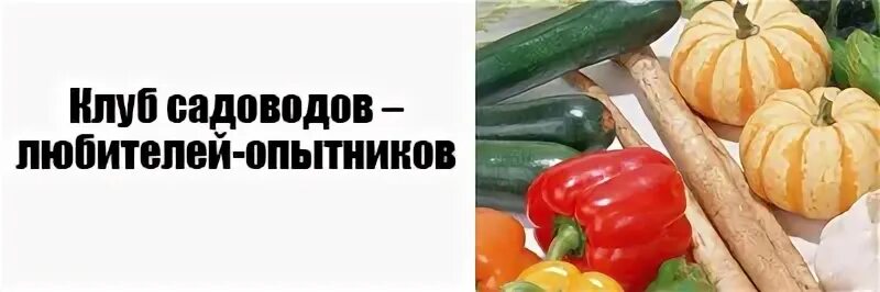 Любители садоводы новосибирска