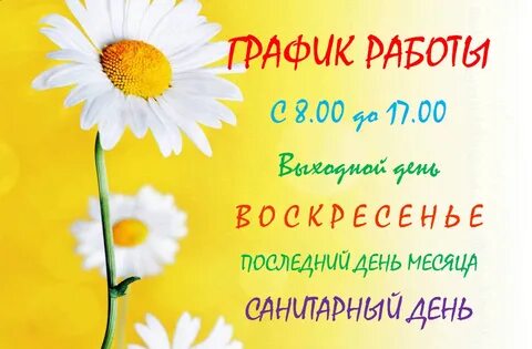 Лета режим работы