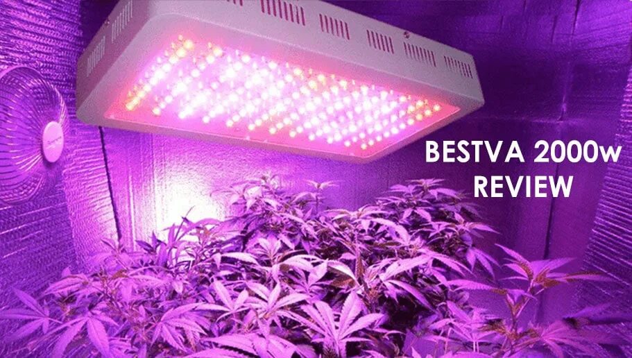 Фитолампа led grow Light. Led grow Light GM 100. Канабис ультрафиолет. MASTERGROW 300w фитолампа. Красный свет для растений для чего