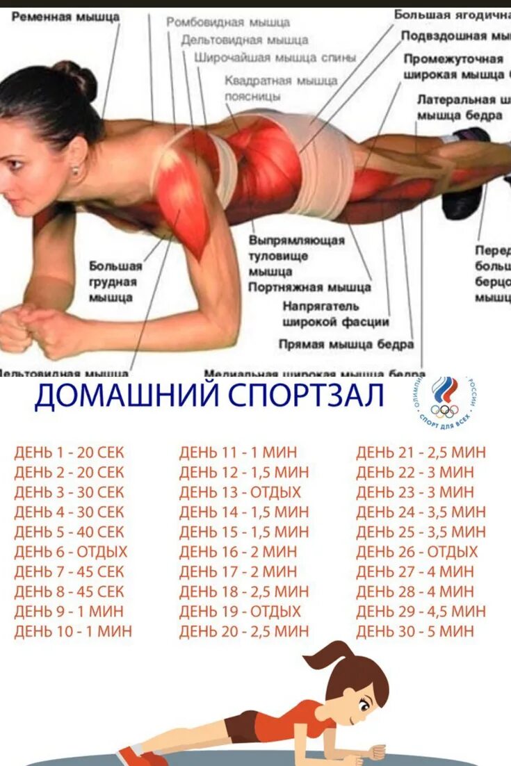 Планка для похудения для начинающих на 30 дней. Планка для женщин на 30 дней для похудения таблица для начинающих. Планка для похудения для начинающих таблица для живота. Планка упражнение для похудения для начинающих на 30 дней.