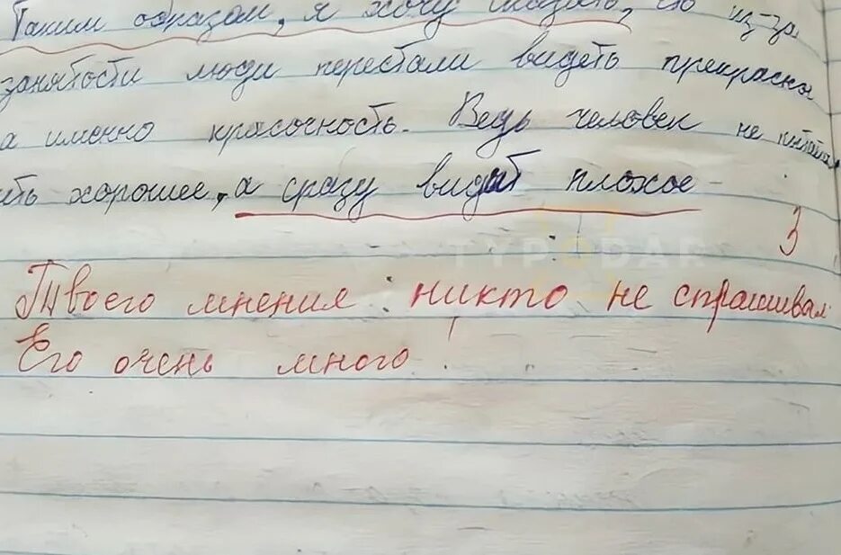 Учитель в жизни ученика сочинение. Несправедливость учителя оценкам. Самые смешные сочинения учеников на тему как я провел лето.