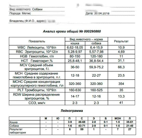 Plt в анализе крови у взрослого. MCV В анализе крови норма. MCV В анализе крови норма у детей 5 лет. Общий анализ крови расшифровка MCV. MCV анализ крови расшифровка.