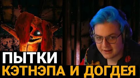 Кэтнэп и догдэй