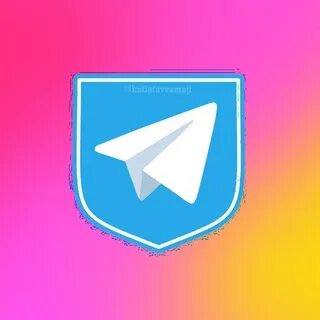 Dash pocketfi app
