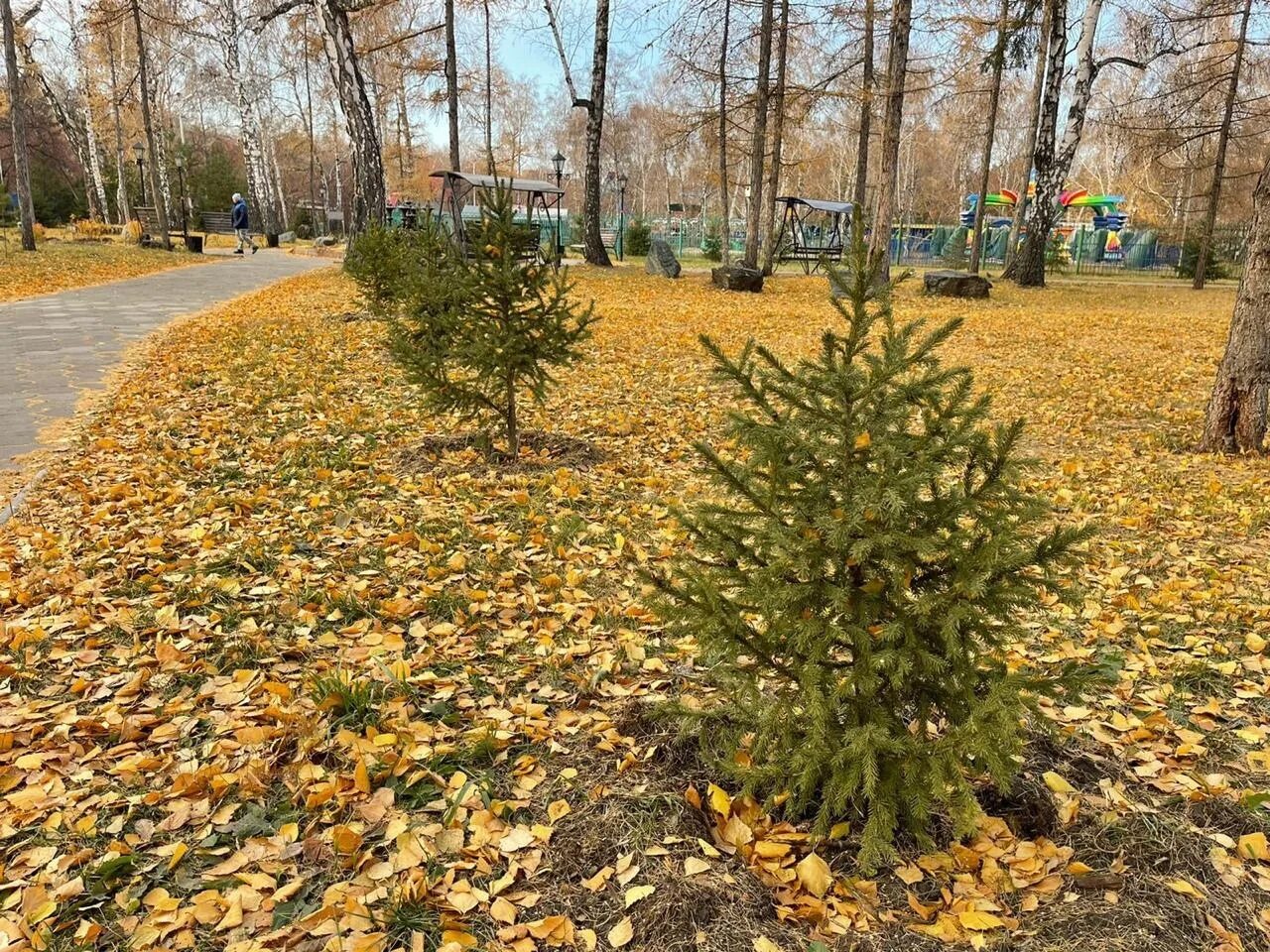 Парки омска работают. Парк ВЛКСМ Омск. Парк 30 летия ВЛКСМ. Город Омск парк 30 лет ВЛКСМ. Сквер 30 летия ВЛКСМ Омск.