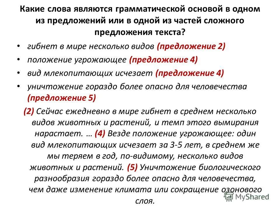 Грамматическая основа текста. Какая основа называется грамматической. Как понять грамматическая основа предложения. Как найти грамматическую основу в предложении 3 класс. Определи грамматическую основу предложения.