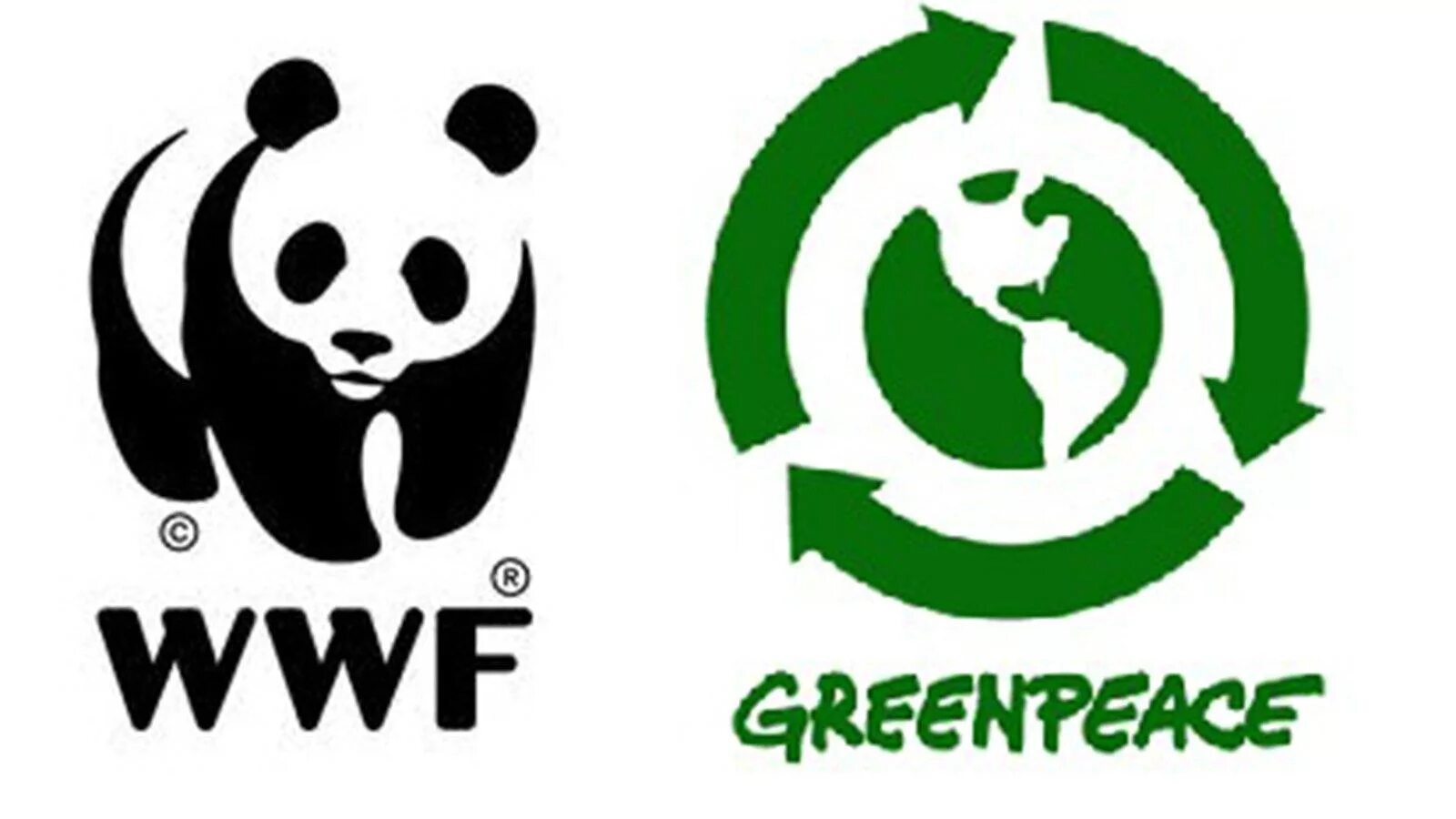 The world wildlife fund is an organization. Международная организация Гринпис эмблема. Гринпис знак символ. Эмблемы экологических организаций.