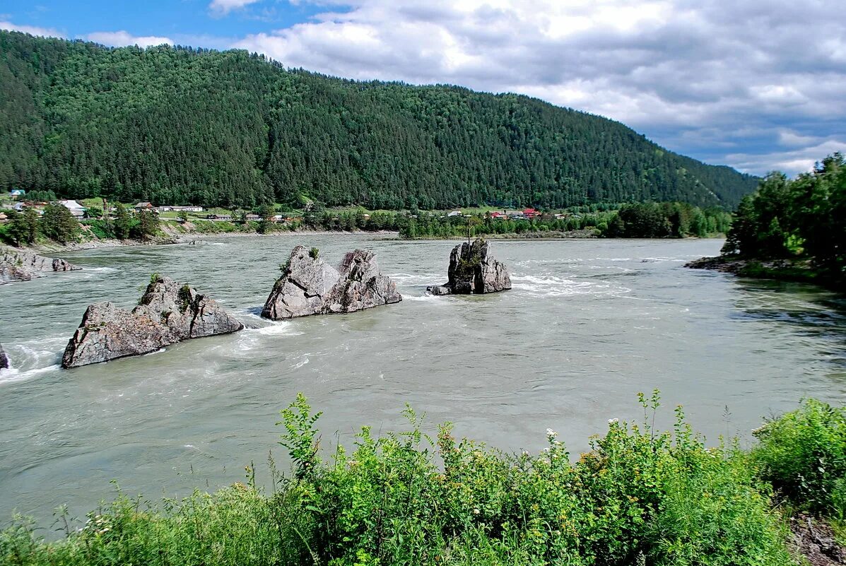 Чемальский район село элекмонар. Элекмонар горный Алтай. Поселок Элекмонар горный Алтай. Чемал Элекмонар. Горный Алтай Чемал Элекмонар.