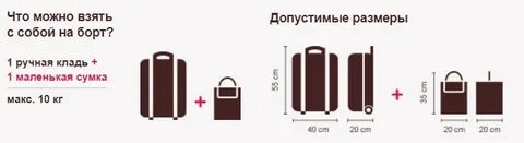 Ред вингс ручная кладь габариты и вес