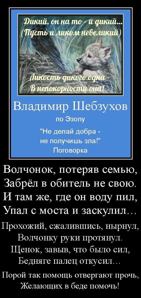 Дикая воля стих. Не делай добра не получишь зла. Не делай добро и не получишь зла. Не делай добра не получишь зла Библия.