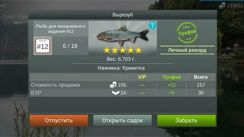 My fishing world на что ловить