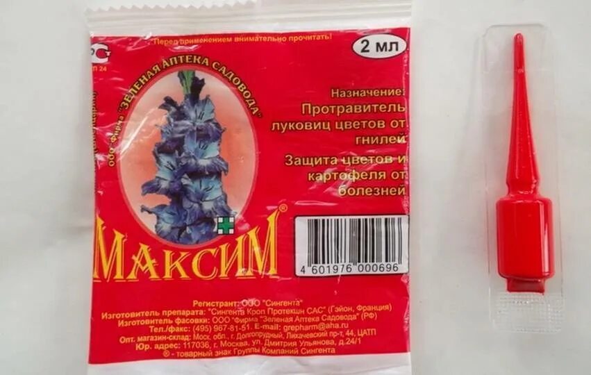 Как обработать максимом. Как обработать максимом