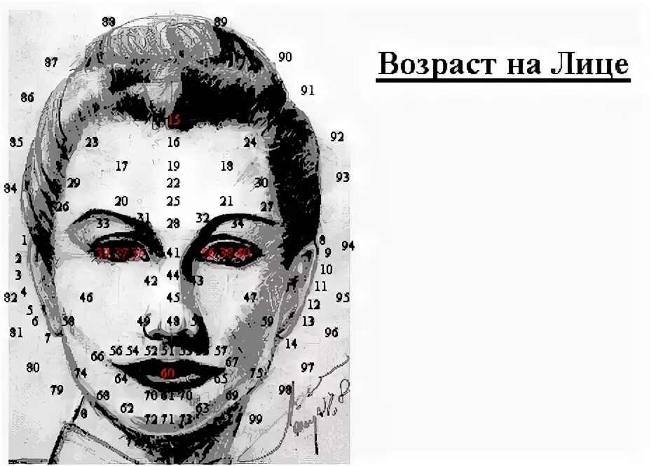 Под лицо что означает. Схема родинок на лице. Карта лица физиогномика. Китайская физиогномика лица по родинкам. Физиогномика шрамы на лице и Возраст.