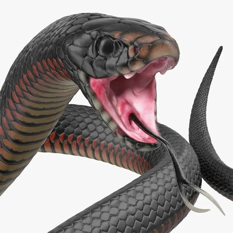 D snake. Снейк змейка 3. Модель змеи. Змея 3д модель. 3d модель змеи.