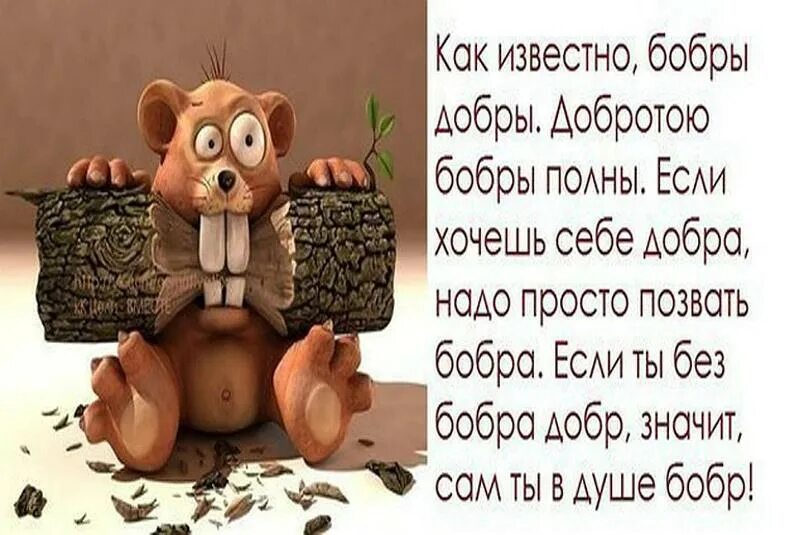 Шутки про доброту. Добрый день с юмором. С днем доброты прикольные. Юмор про добро с картинками и надписью