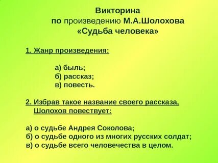 5 вопросов по рассказу судьба человека