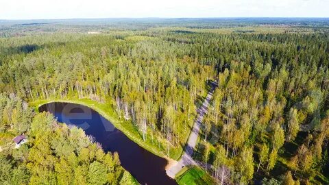 Левашова поселок ленинградская область