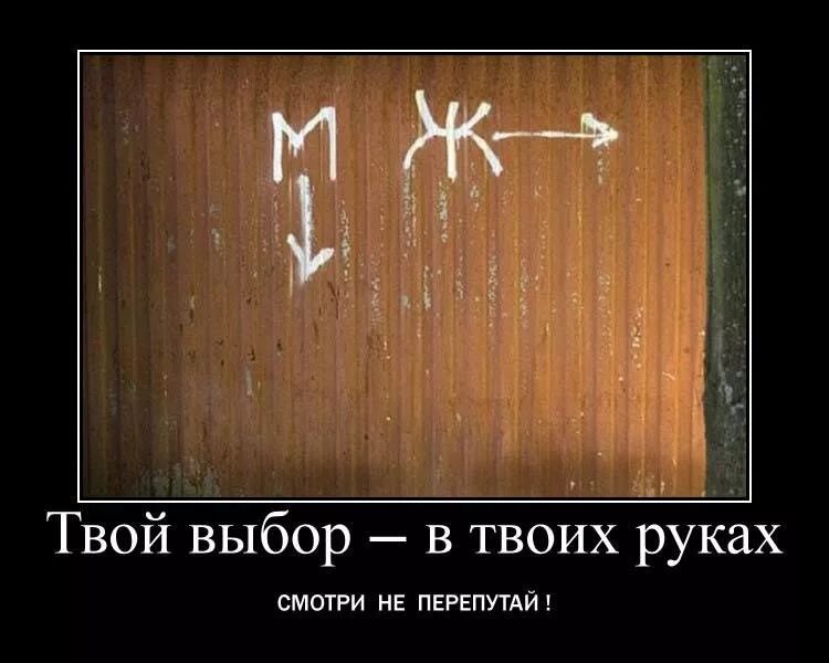 дорога в новую жизнь. выбираю себя цитаты. цитаты про выбор человека. всегда твой выбор.