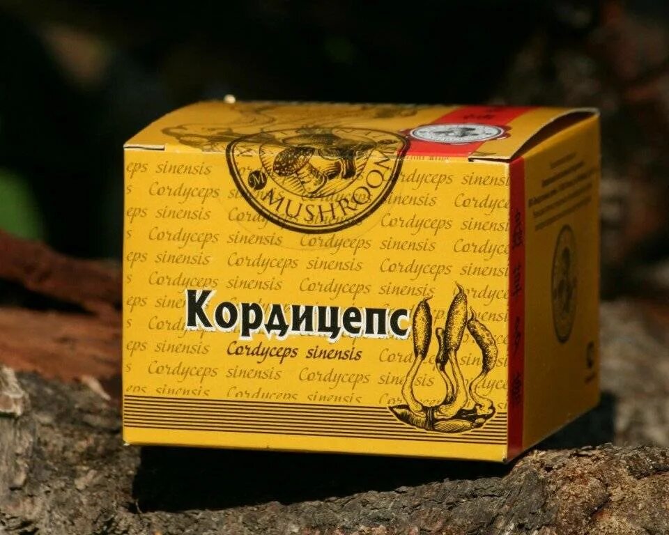 Cordyceps инструкция. Кордицепс. Кордицепс гриб. Препараты гриба кордицепс. Кордицепс лекарство.