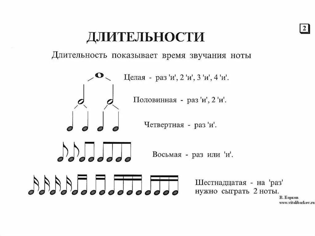 Музыкальная грамота уроки. Музыкальная нотация Нотная грамота. Нотная грамота Длительность нот. Музыкальная грамота длительности нот. Нотная грамота для аккордеона для начинающих.