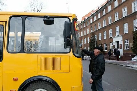 Автобус калининград полесск
