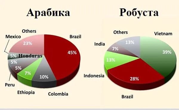 Страныныы производители кофе. Страны производители кофе. Арабика и Робуста. Основные страны производители кофе. Страна крупнейший производитель кофе
