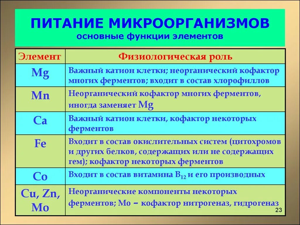 Элемент под функции. Питание микроорганизмов. физиологическая роль микроэлементов бактерий. микроэлементы, необходимые для микроорганизмов. физиологическая роль элементов.