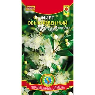 Мирт кострома прейскурант