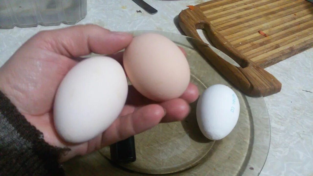 Размер яйца со. Размер куриного яйца. Диаметр куриного яйца. Яйца c3. Аистиное яйцо размер.