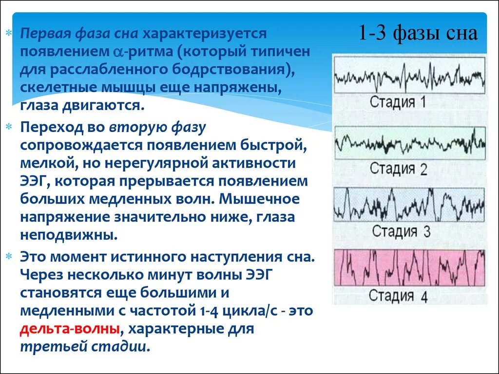 Чем характеризуется медленный и быстрый сон. Первая стадия сна характеризуется. 3 Стадии сна. Фазы сна. 1 Стадия сна характеризуется.