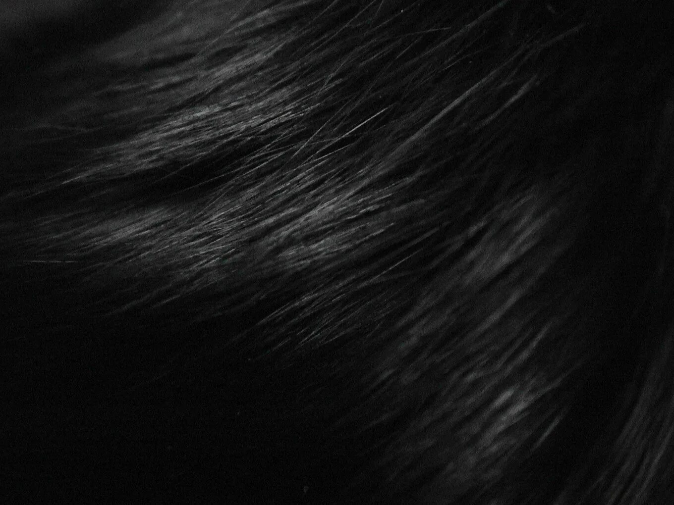 Темно ну. Текстура волос. Черные волосы текстура. Фактура волос. Черная шерсть.