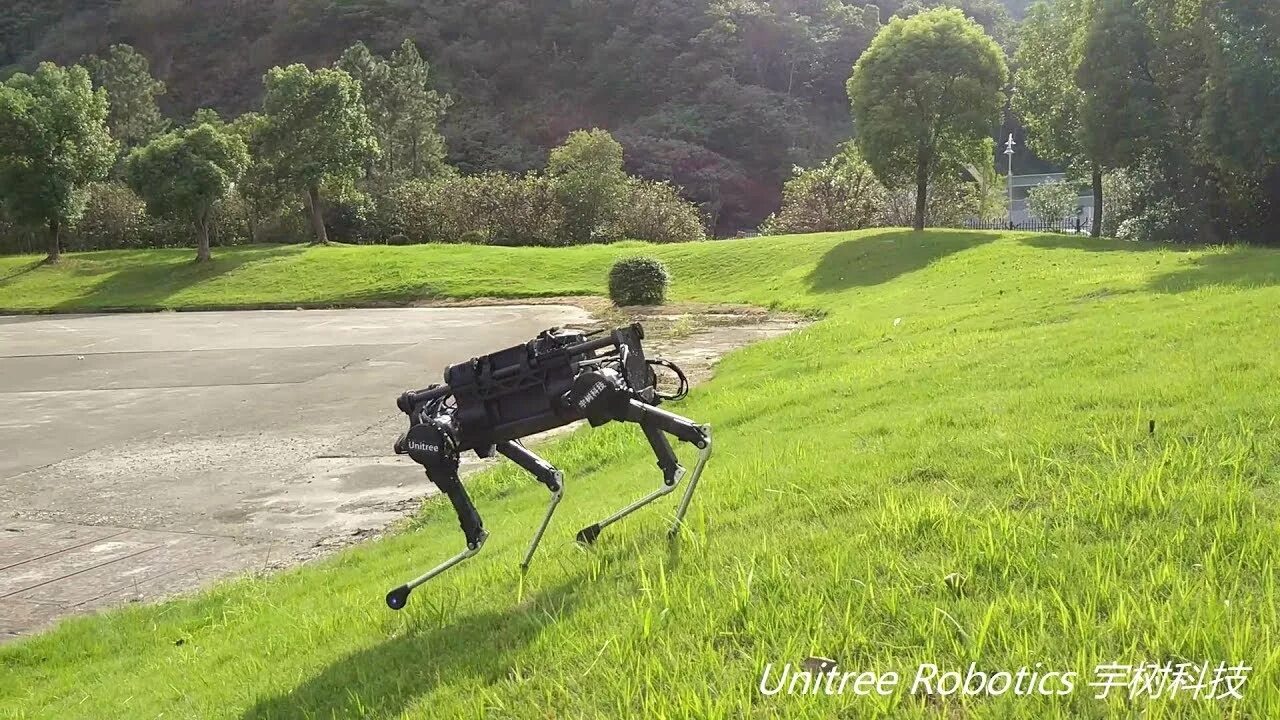 Unitree. Unitree Robotics Laikago. Робот собака go1. Unitree Robotics a1. Робособака Unitree.