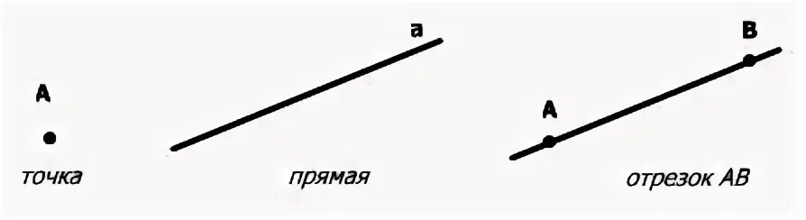 Небольшой отрезок ее жизни. Точки прямые отрезки. Точка и прямая. Прямая рисунок. Точки прямые отрезки геометрия.